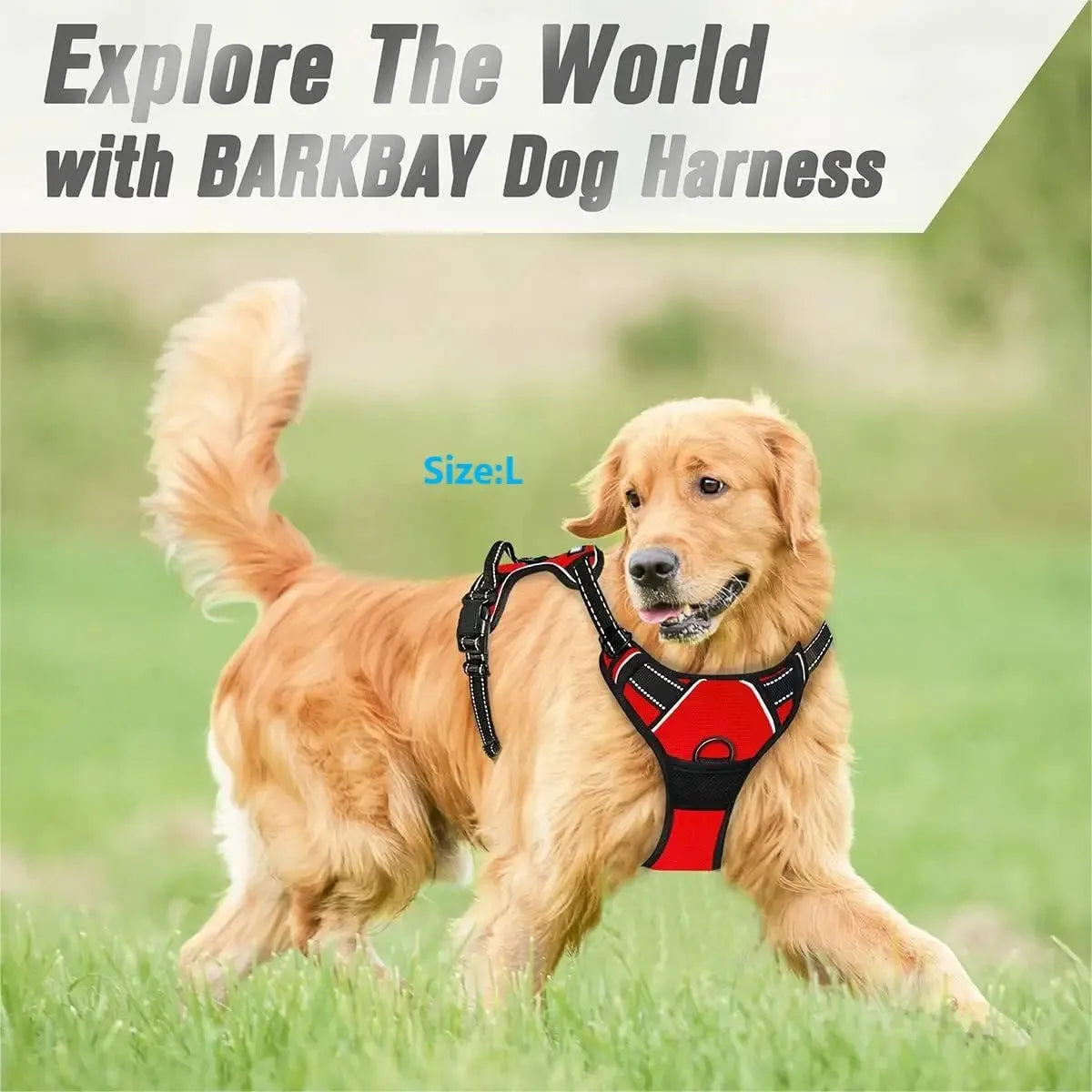 From "Pulling Pain" to Walking Freedom: Why a Leather Harness is the Ultimate Upgrade for Your Dog