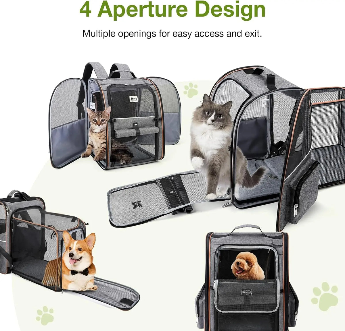 Is Your Pet Feeling the "Travel Blues"?