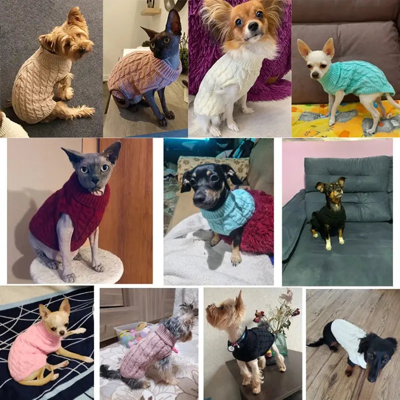 Sweaters for Small Medium Dogs Cats Clothes Winter Warm Pet Turtleneck Teddy Jacket - CatebyPets