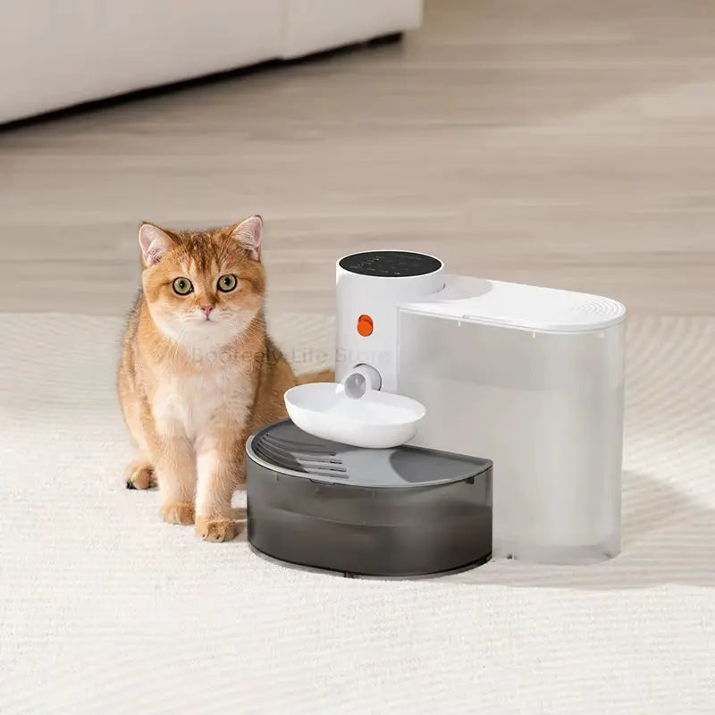 Cateby Automatic Cat Water Fountain Unplugged Pet Water Feeder - CatebyPets