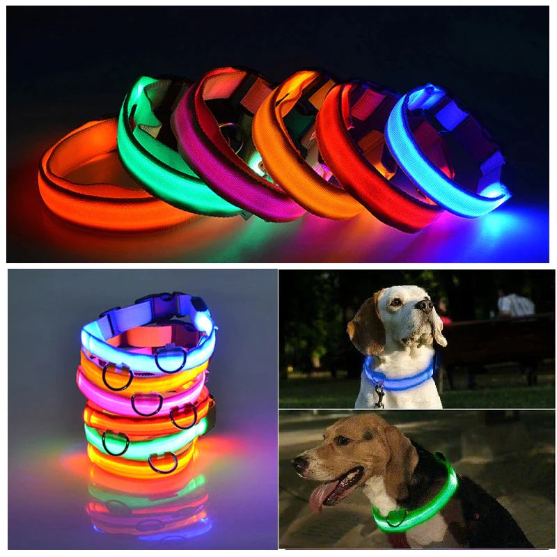 LED Adjustable Dog Collar,
LED Dog Collars Adjustable,
Rechargeable LED Dog Collar,
USB LED Dog Collar Adjustable