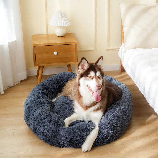 Pet Plush Bed Calming Basket,
 Calming Plush Pet Bed,
"Cozy Pet Basket Bed,
"Pet Plush Bed for Anxiety.