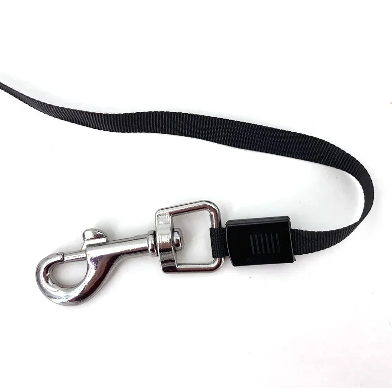 3M/5M Retractable Dog Leash Automatic Flexible Dog Puppy Cat Traction Rope Belt Dog Leash for Small Medium Dogs Pet Products - CatebyPets