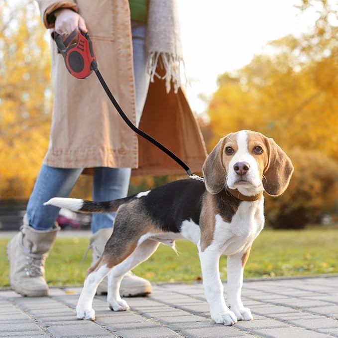 3M/5M Retractable Dog Leash Automatic Flexible Dog Puppy Cat Traction Rope Belt Dog Leash for Small Medium Dogs Pet Products - CatebyPets