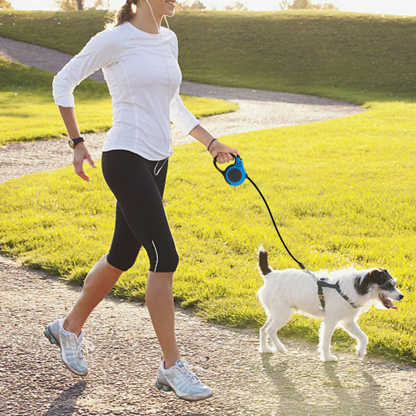 3M/5M Retractable Dog Leash Automatic Flexible Dog Puppy Cat Traction Rope Belt Dog Leash for Small Medium Dogs Pet Products - CatebyPets