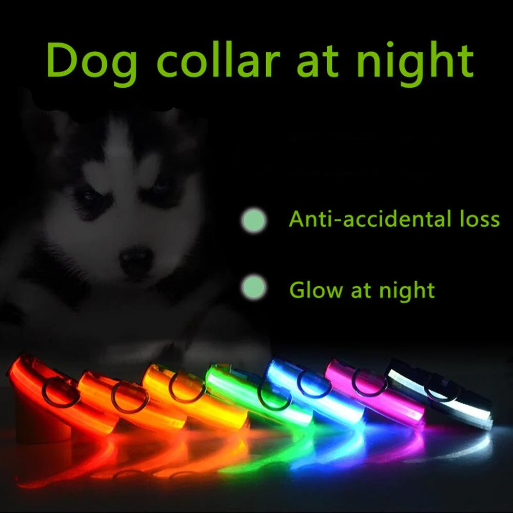 LED Adjustable Dog Collar,
LED Dog Collars Adjustable,
Rechargeable LED Dog Collar,
USB LED Dog Collar Adjustable