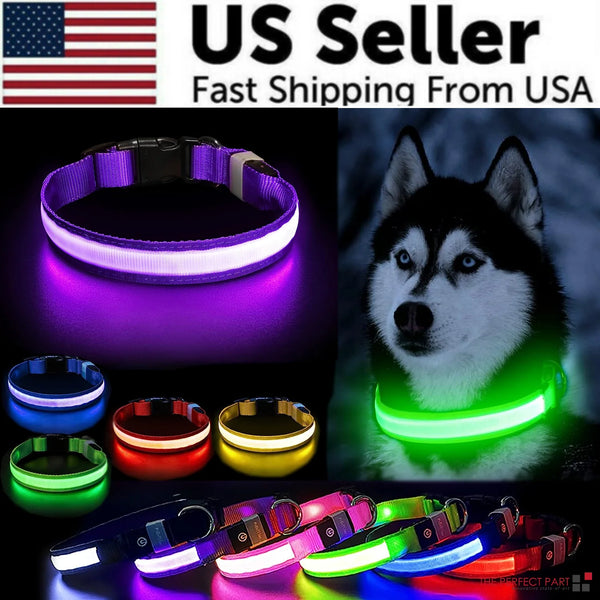 LED Adjustable Dog Collar,
LED Dog Collars Adjustable,
Rechargeable LED Dog Collar,
USB LED Dog Collar Adjustable