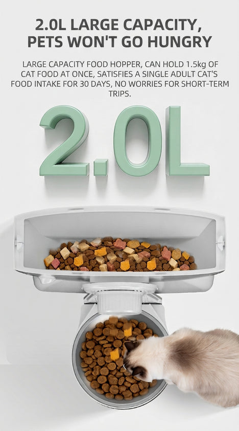 Automatic Pet Feeder WiFi HD Camera With Timed Remote Feeding - CatebyPets