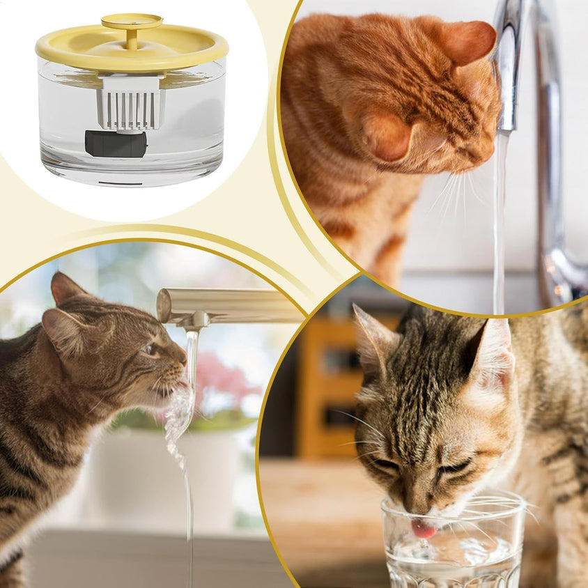 HydraFlow Automatic Water Dispenser for Cats & Caterpillar Dogs - CatebyPets