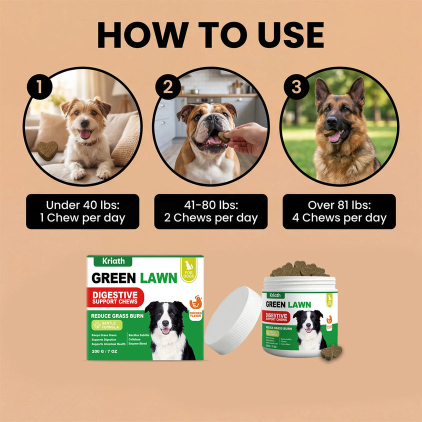 Natural Dog Digestive Support Probiotic Chews Chicken Flavored Supplement for Constipation Relief Puppy Stomach Care 200g - CatebyPets