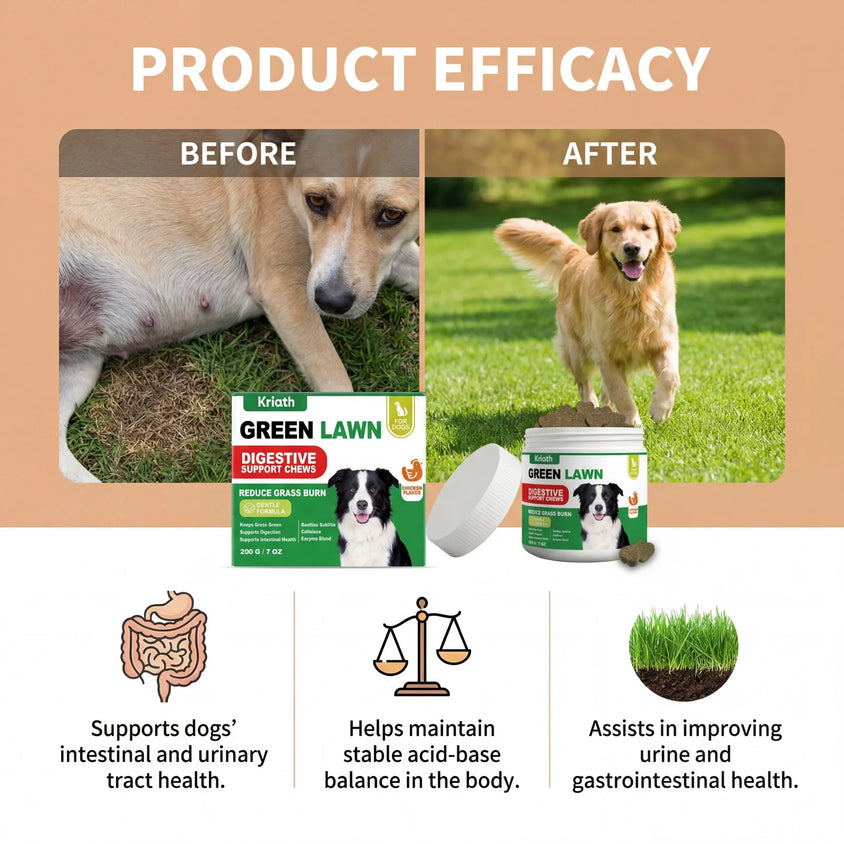 Natural Dog Digestive Support Probiotic Chews Chicken Flavored Supplement for Constipation Relief Puppy Stomach Care 200g - CatebyPets