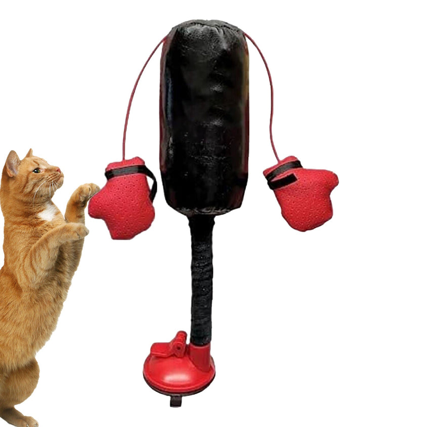 Portable Cat Punching Bag Toy Interactive Indoor Cats Kitten Toy - CatebyPets