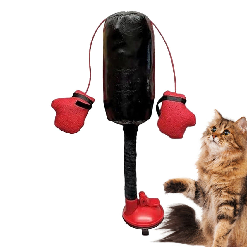 Portable Cat Punching Bag Toy Interactive Indoor Cats Kitten Toy - CatebyPets