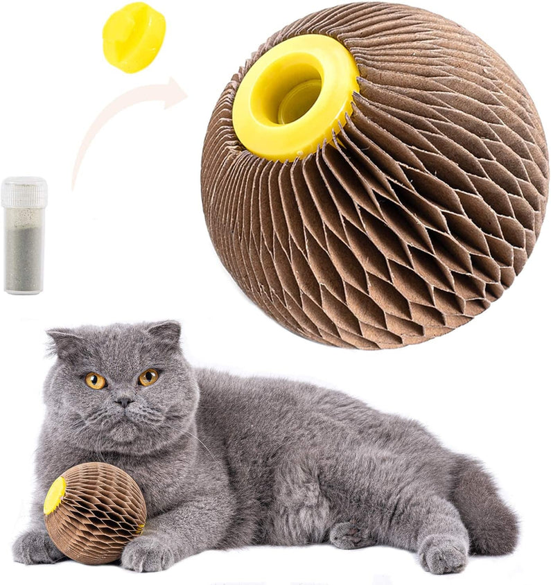 Cats Refillable Scratcher Ball ,Kitty'S Faithful Playmate - CatebyPets