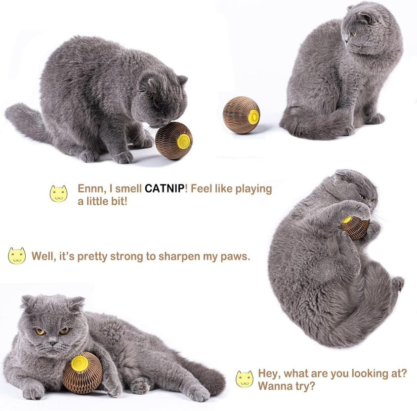 Cats Refillable Scratcher Ball ,Kitty'S Faithful Playmate - CatebyPets