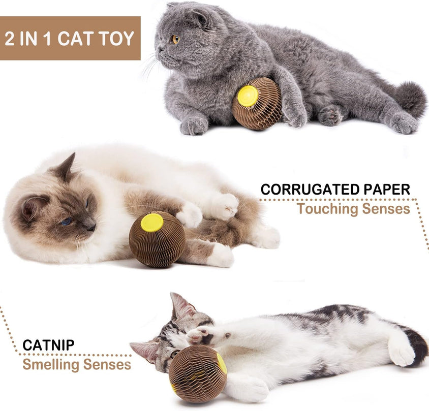 Cats Refillable Scratcher Ball ,Kitty'S Faithful Playmate - CatebyPets