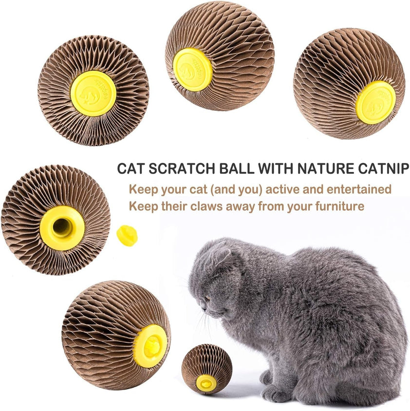 Cats Refillable Scratcher Ball ,Kitty'S Faithful Playmate - CatebyPets