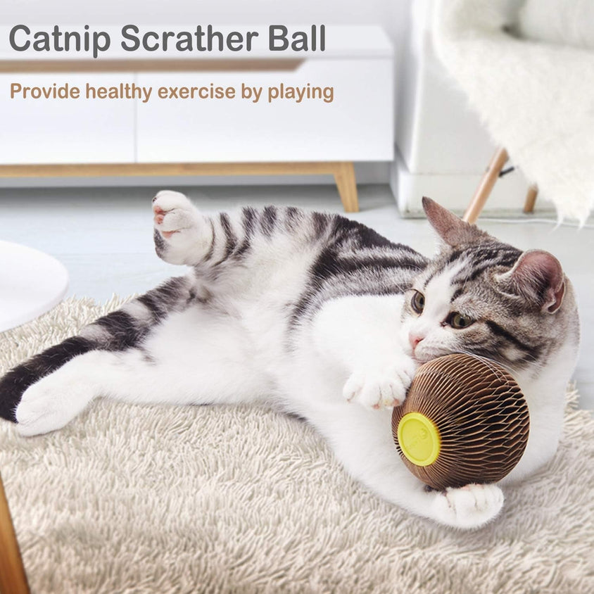Cats Refillable Scratcher Ball ,Kitty'S Faithful Playmate - CatebyPets