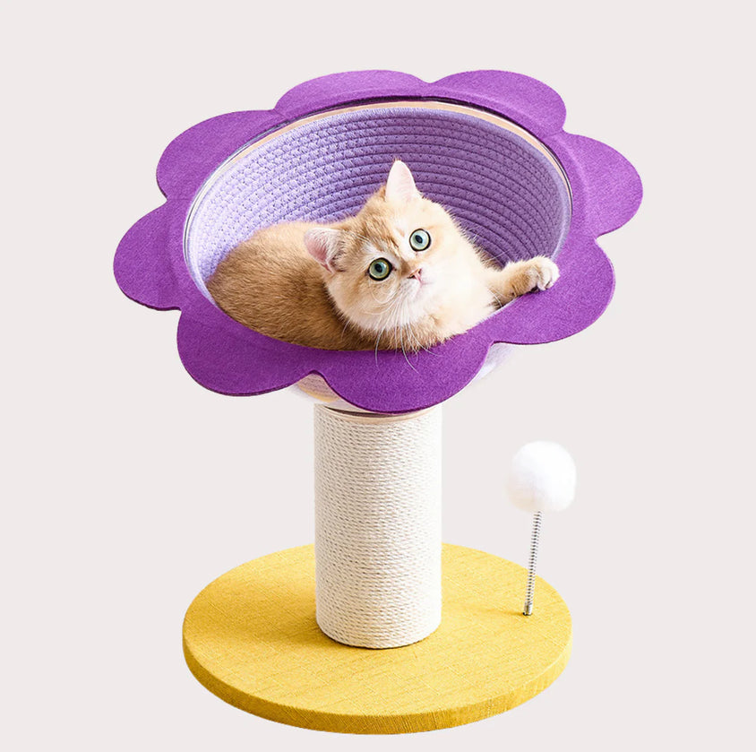 Sunflower Cat Climber with Sisal Rope Scratching Post - CatebyPets