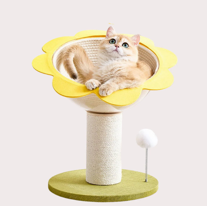 Sunflower Cat Climber with Sisal Rope Scratching Post - CatebyPets