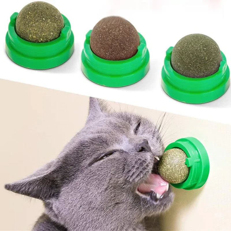 Three green pet toys with brown balls inside, one being played with by a cat.