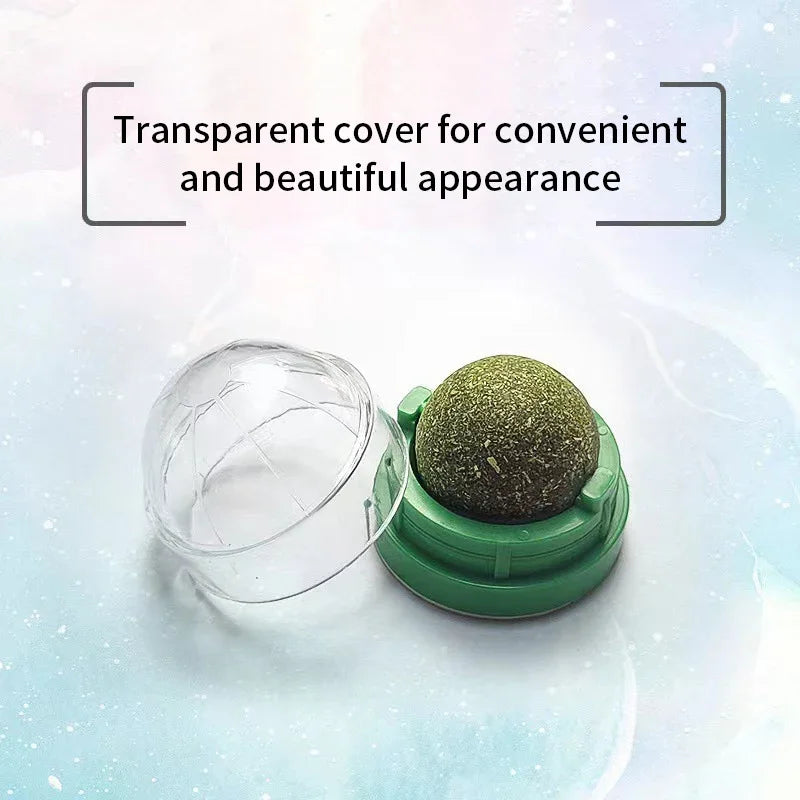 Green cosmetic sponge with a transparent cover on a light blue background