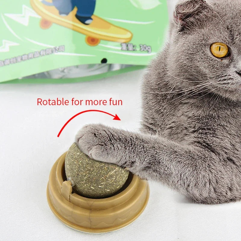 Cat playing with a treat dispenser toy, with a green package in the background.