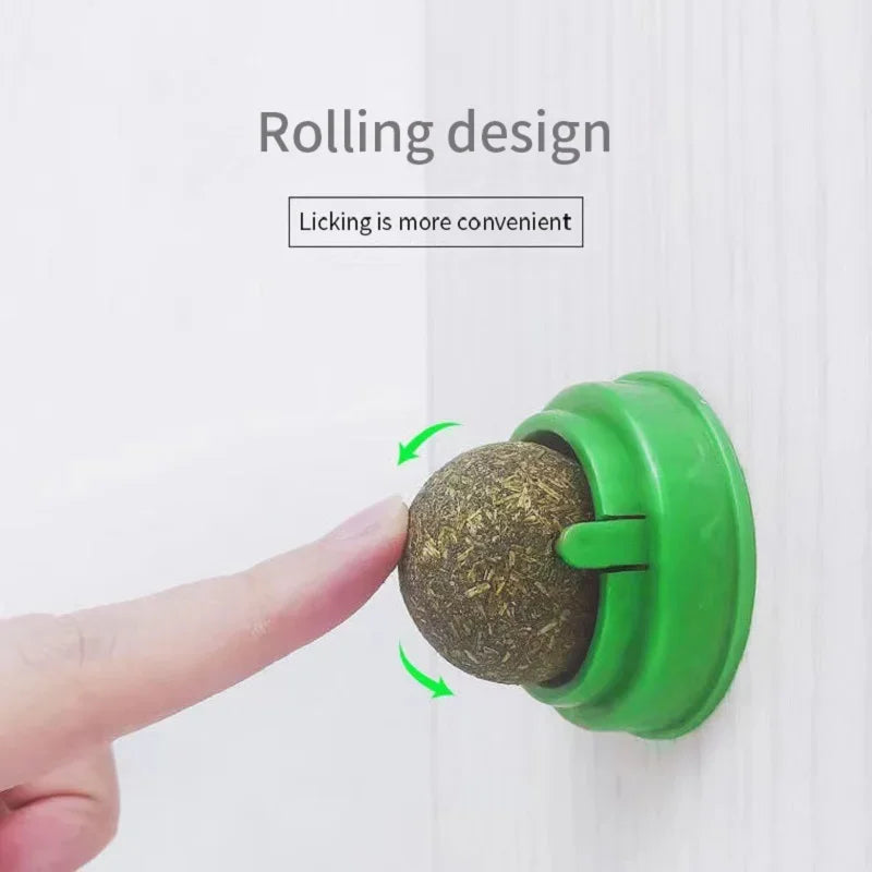 Green pet toy with a ball, held by a hand against a white background