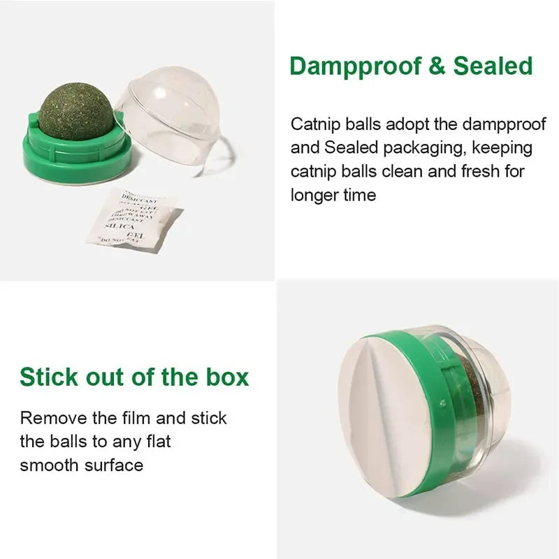 Catnip ball packaging with text on dampproof and sealed design.