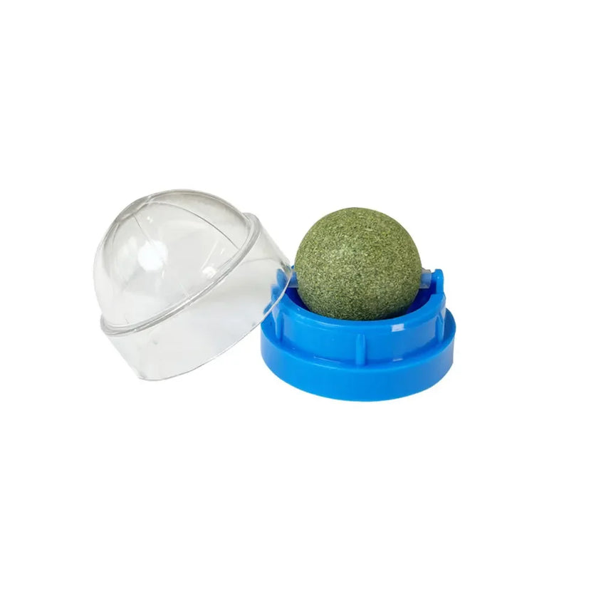 Mad Cat Wall Ball: Natural Catnip Play & Digestive Delight - CatebyPets