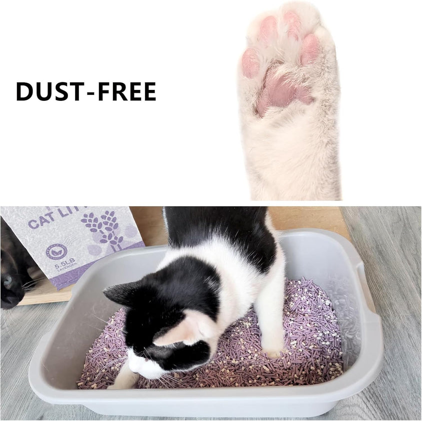 Cat using a dust-free litter box with text 'DUST-FREE' on a white background.