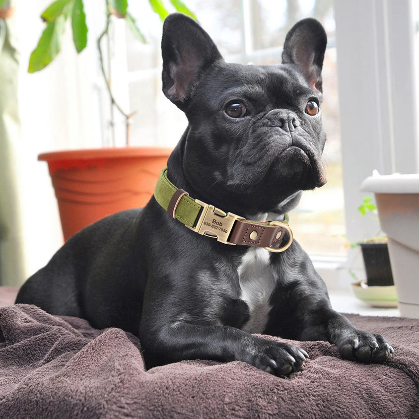 Free Custom PU Leather Dog Collar Engraved Dog Collars Adjustable Pet Buckle ID Necklace Durable for Small Medium Large Dogs Pug - CatebyPets