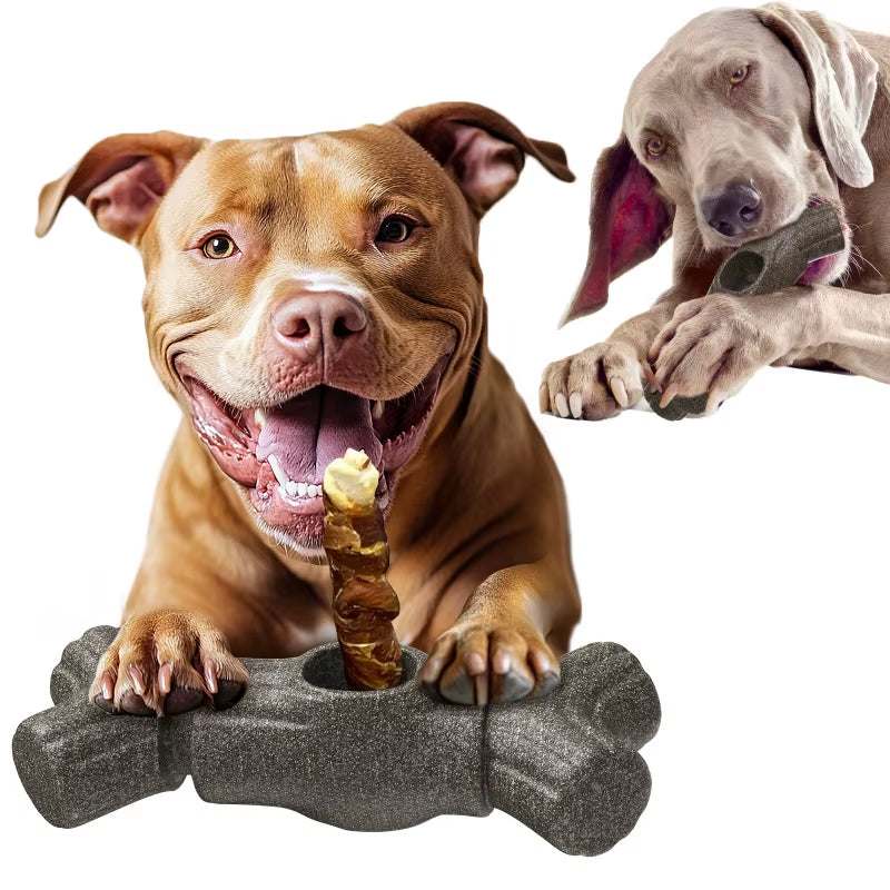 Dog Chewing Bone & Snack Retainer - Durable Toy for Dogs - CatebyPets