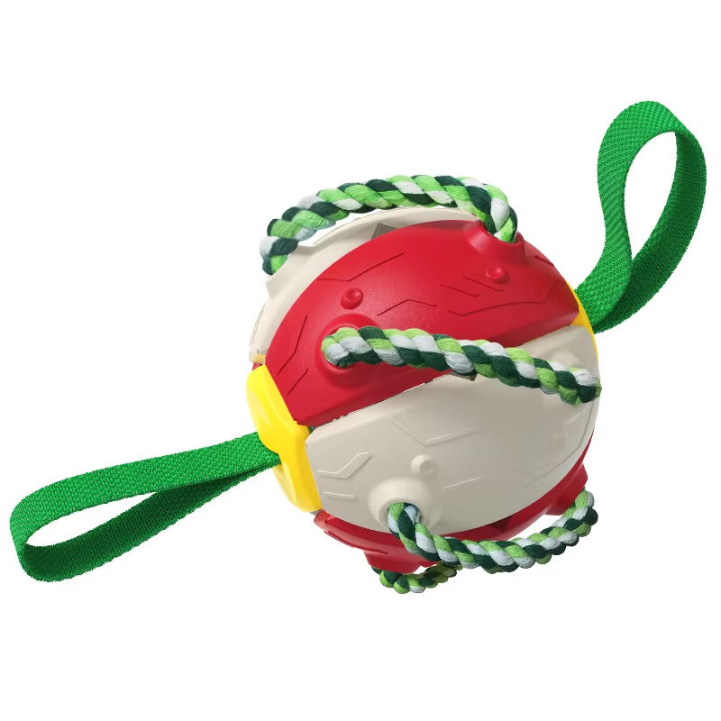Indestructible Dog Frisbee: Non-Toxic, Floatable Fetch Toy - CatebyPets
