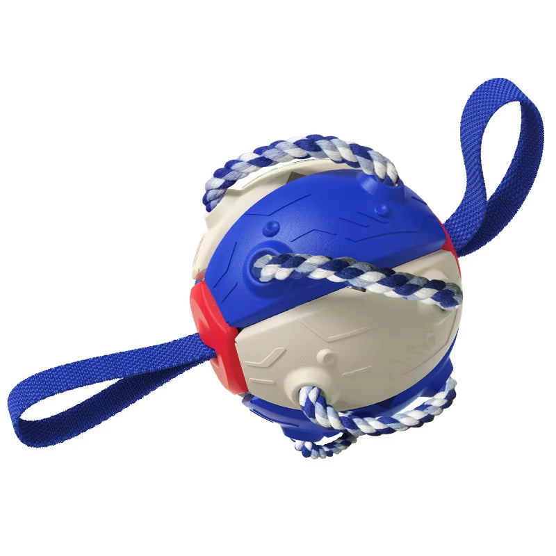 Indestructible Dog Frisbee: Non-Toxic, Floatable Fetch Toy - CatebyPets
