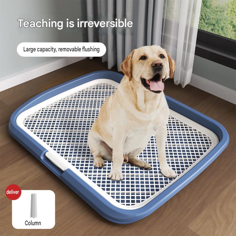Dog Potty Tray With Wall: High Fence Splash-Guard Stand - CatebyPets