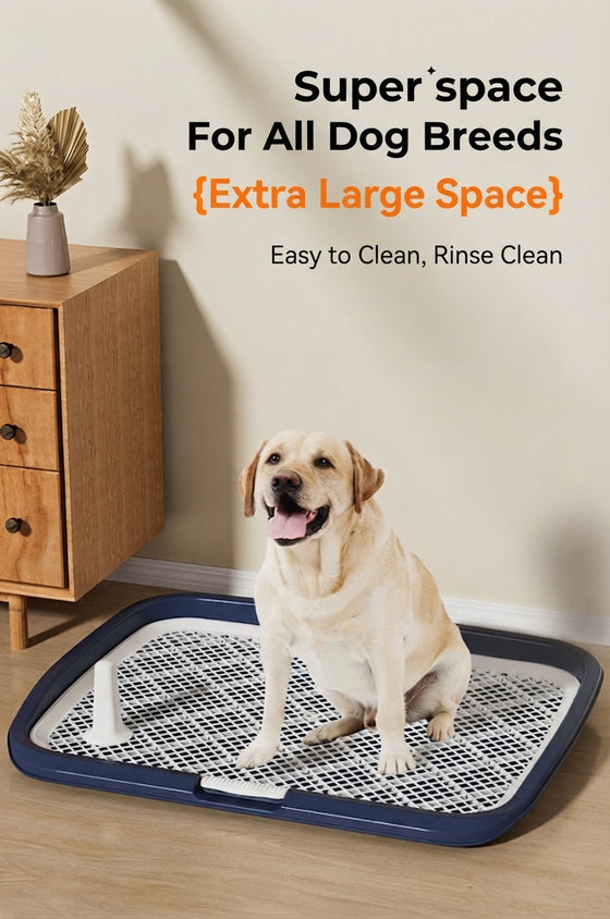 Dog Potty Tray With Wall: High Fence Splash-Guard Stand - CatebyPets