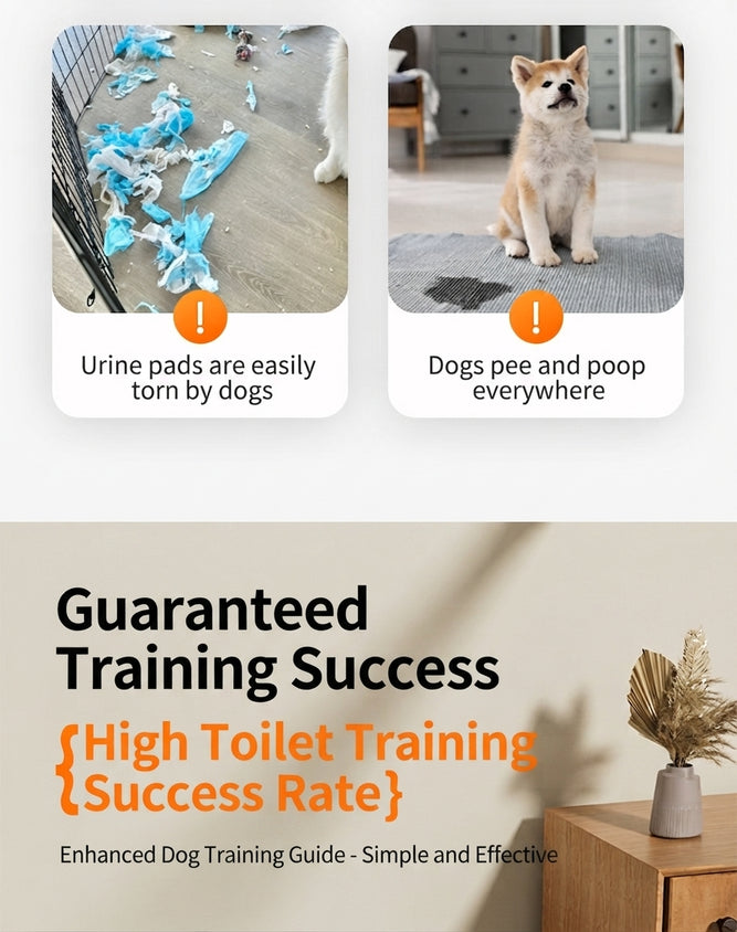 Dog Potty Tray With Wall: High Fence Splash-Guard Stand - CatebyPets