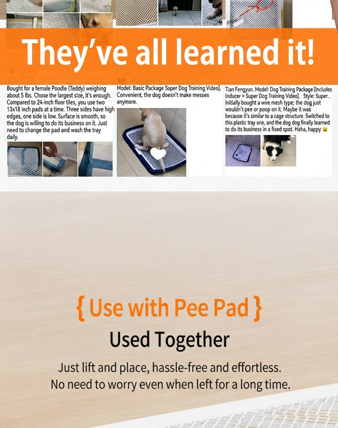 Dog Potty Tray With Wall: High Fence Splash-Guard Stand - CatebyPets