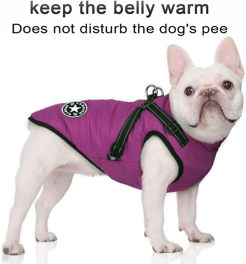 Customized Dog Breed Fashion T-Shirt - Unique Pet Apparel - CatebyPets