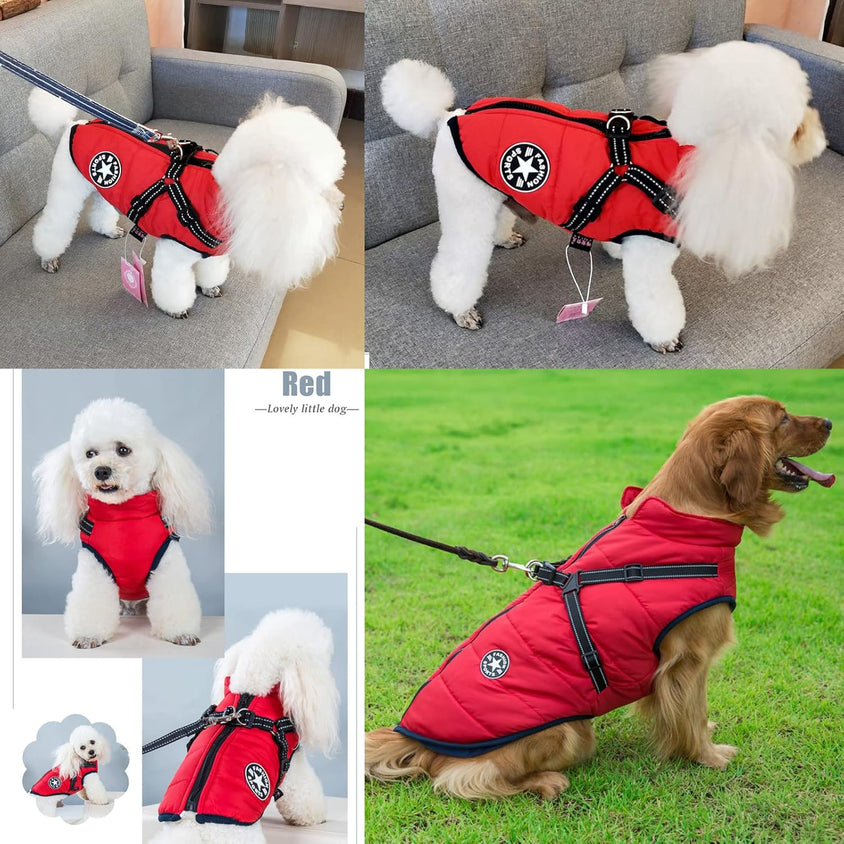 Customized Dog Breed Fashion T-Shirt - Unique Pet Apparel - CatebyPets