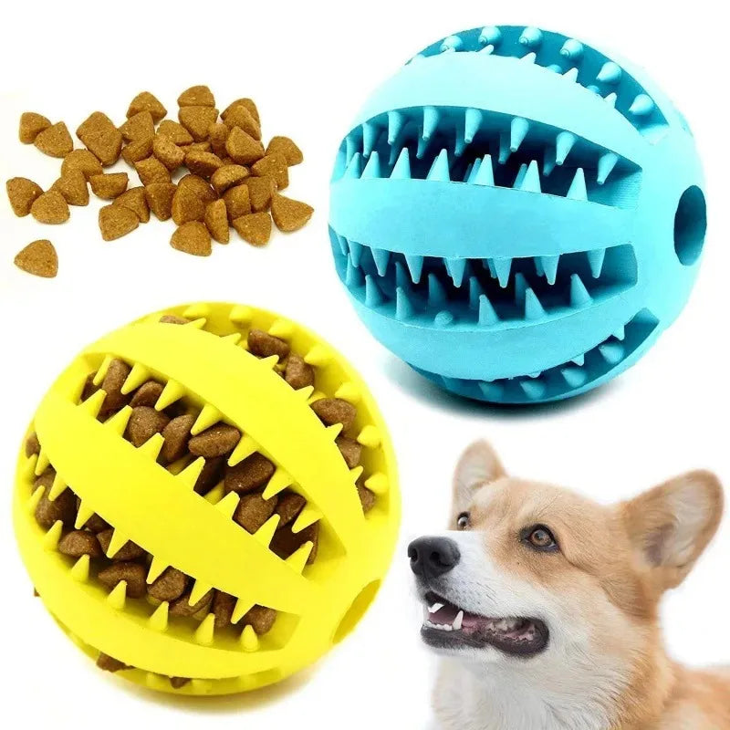 Dog treats toy Natural Rubber petsmart dog chews - CatebyPets