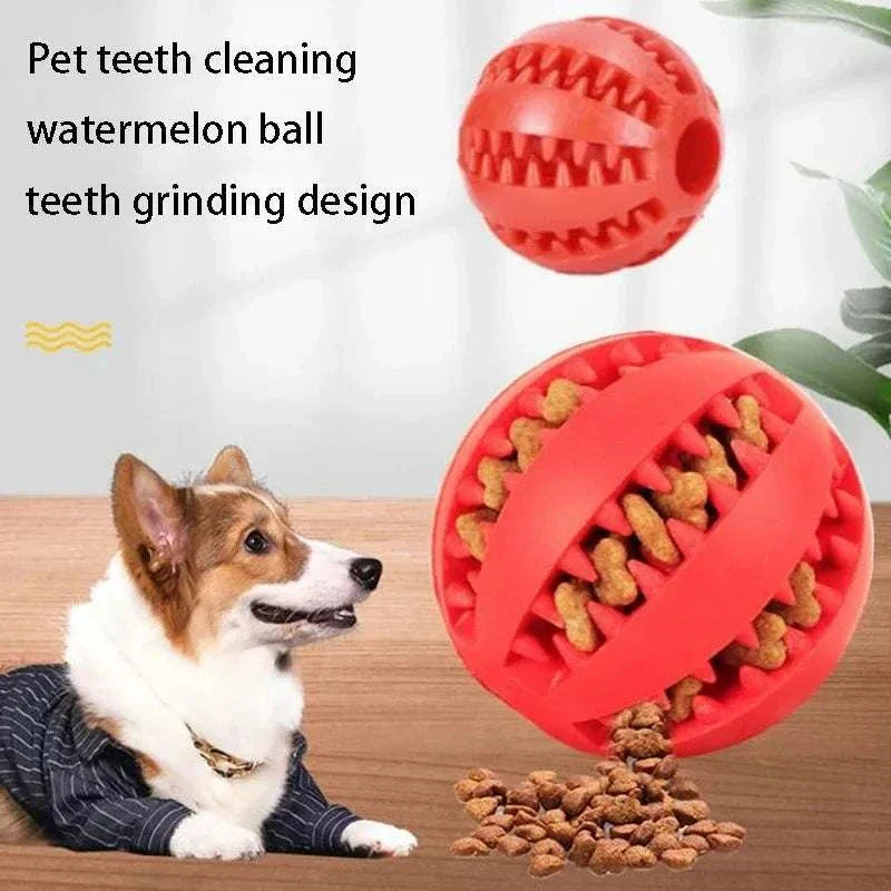 Dog treats toy Natural Rubber petsmart dog chews - CatebyPets