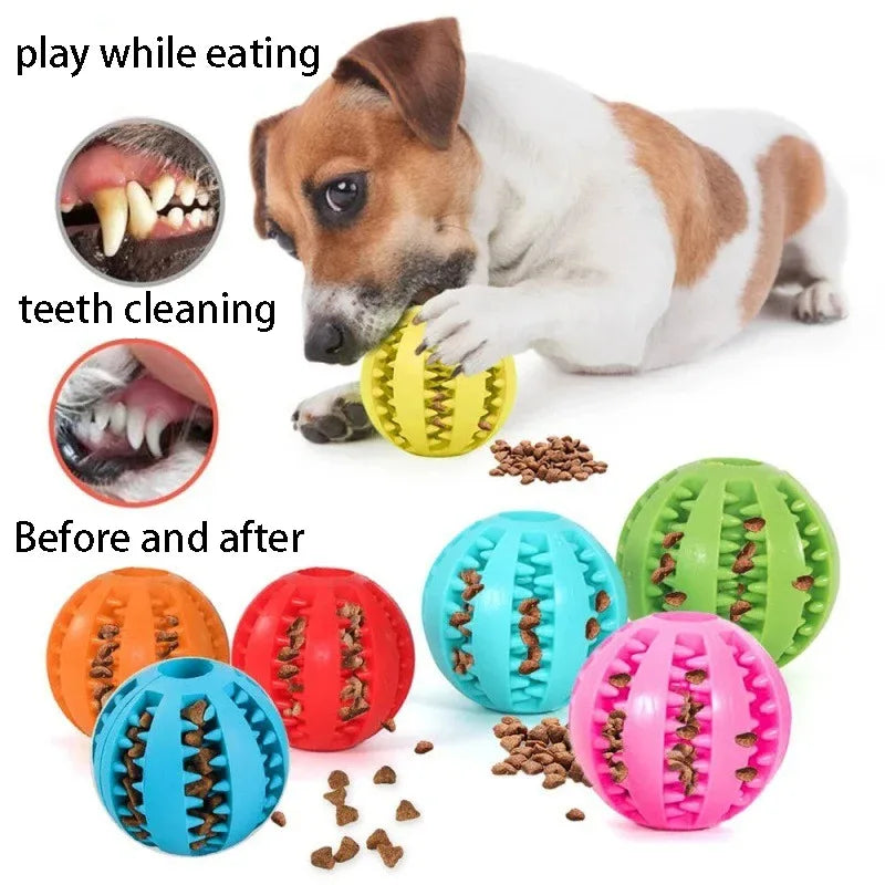 Dog treats toy Natural Rubber petsmart dog chews - CatebyPets
