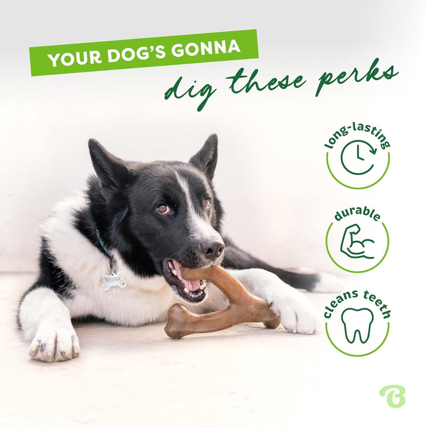 Durable Dog Chew Toy for Aggressive Chewers - CatebyPets
