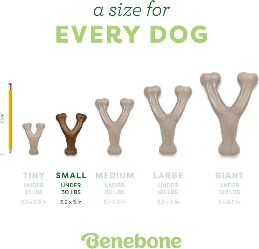 Durable Dog Chew Toy for Aggressive Chewers - CatebyPets