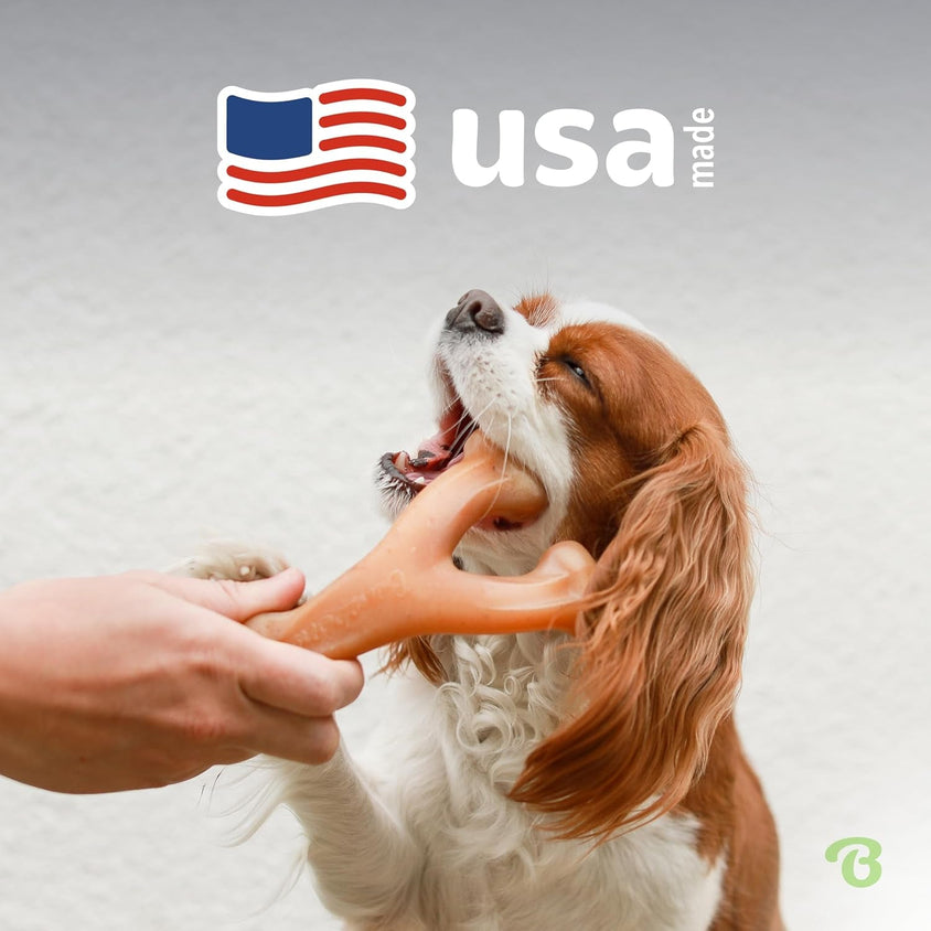 Durable Dog Chew Toy for Aggressive Chewers - CatebyPets