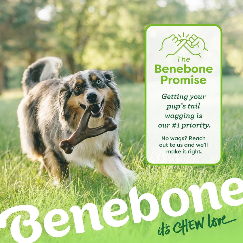 Durable Dog Chew Toy for Aggressive Chewers - CatebyPets