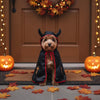 Halloween Town Enchanted Pet Capes & Cloaks for Cats & Dogs - CatebyPets