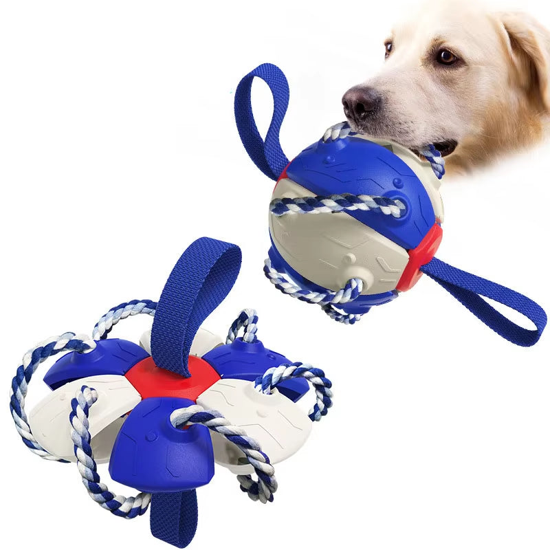 Indestructible Dog Frisbee: Non-Toxic, Floatable Fetch Toy - CatebyPets